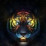 稀缺🐻文玩🦣宠物🐯店