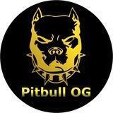 Pitbull OG