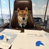 CEO Floki BSC