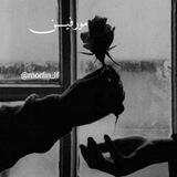 Morfin____
