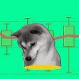 Risk inu || Portal