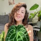 Planty Chloe