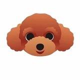 teddy2.0