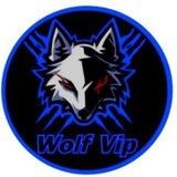 Wolf v͠i͠p͠ v͠p͠n͠