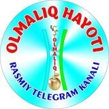 Olmaliq xayoti