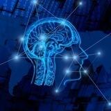 Мозг - слуга или хозяин?🧠