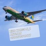 RIZO N_1 KARGO