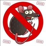 ❌Стоп❌🐀❌скам❌