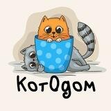 КотОдом 🐈
