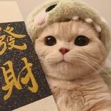 招财猫Q推110单结