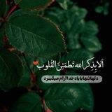 تسبیح گویان📿