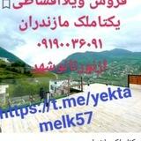 یکتا ملک