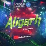 ⚔️ALIGARH PUBGM
