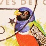 Guantanamera