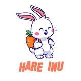 Hare Inu