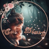 🐱 Cat's Diary | Окрасы и породы кошек | Коты и кошки🐱