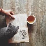 Книги Библиотека Лучшее