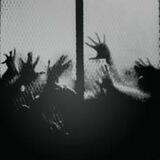 the cemetery of the suns.