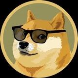 Dogecoin Protocol | BSC