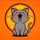 Matte cat portal