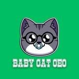 Baby Cat Ceo