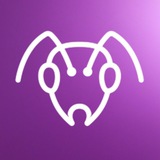 ANTHILL MUSIC