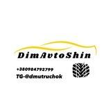 DimAvtoShin