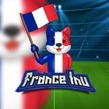 France Inu - 2022 WorldCup