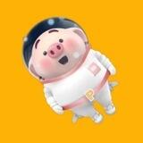 $MOONPIG Coin Official