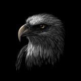 Blackbird Return