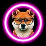 Animex Floki CEO PORTAL