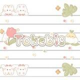 🍒.. ᯤ tokebis-eu.site ♡