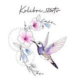 Kolibri_126stv