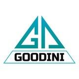 Goodini | Архитектурная Голограмма