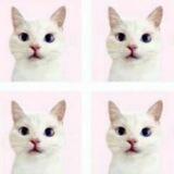 ୨♡୧ . . . {Khalys Store}