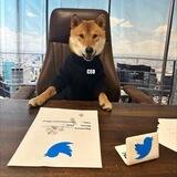Floki Ceo -ELON TWEET