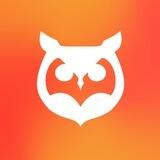 Owl Notes