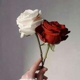 الزهراء 🌹لملابس النساء👗 والاطفال👕👖