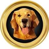 DOGODOGE OFFICIAL