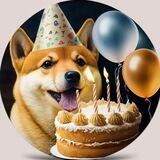 🎉HappyBirthdayDoge2022🎉