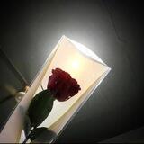 花心抖音代发（闲鱼 淘宝 微信话术单）