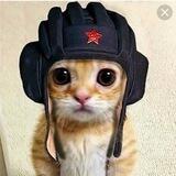 Помогаем бойцам. Воронеж🇷🇺