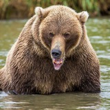 Геннадий Юсин фотоистории