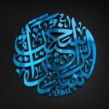 ✨تفريغات قناة شذرات الراسخين✨