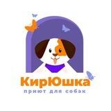 Приют «КирЮшка» г. Киров