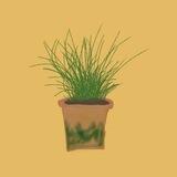 Plant's & me