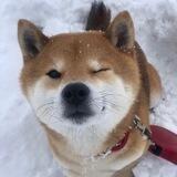财路的分享圈