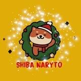 Shiba Naryto [ SAFU BSC ]