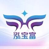 🌎泓宝富 🌈数据中心🌍