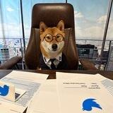 Twitter Ceo Floki